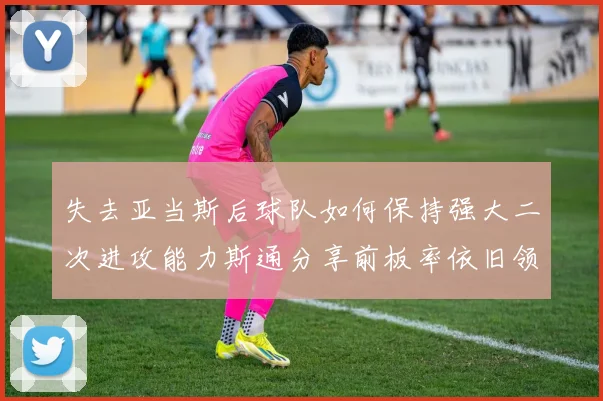 失去亚当斯后球队如何保持强大二次进攻能力斯通分享前板率依旧领先的秘诀