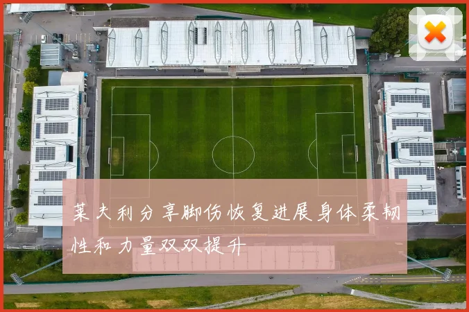 莱夫利分享脚伤恢复进展身体柔韧性和力量双双提升